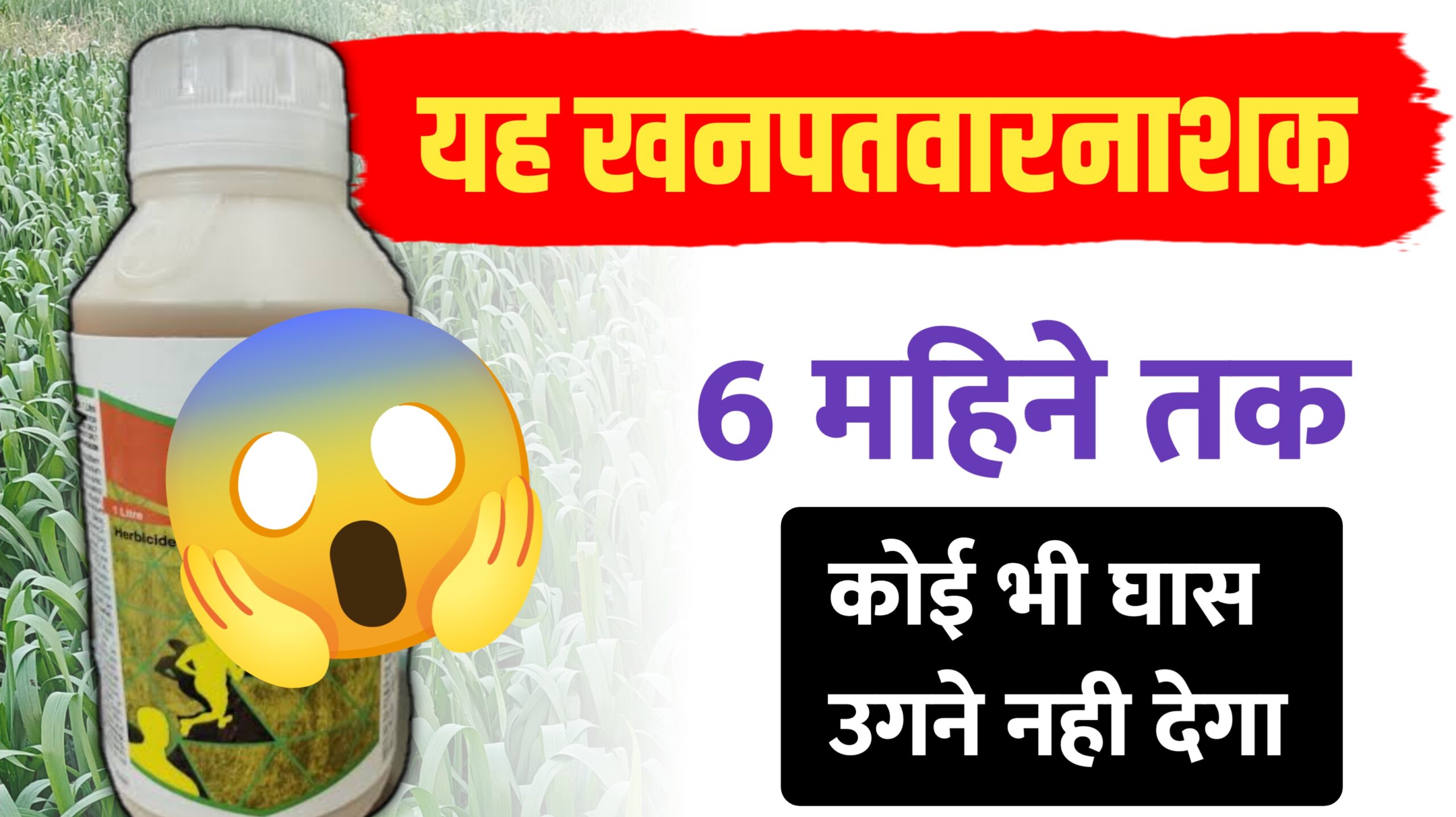 बायर एलियन प्लस